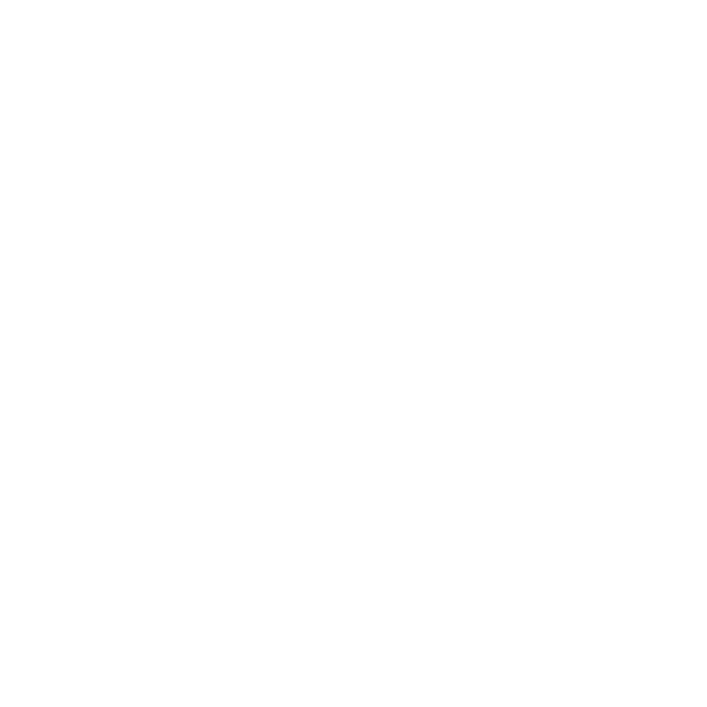 southcoast-logo-transparent-white